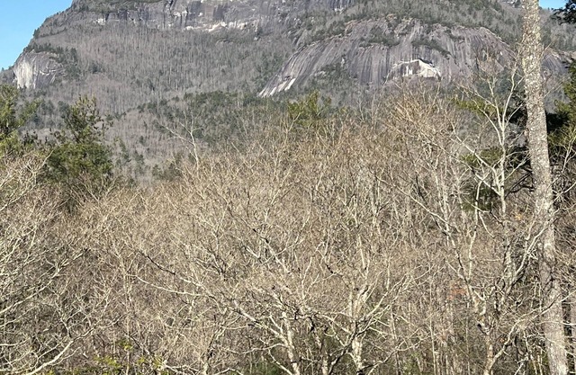 Private mountain cottage with amazing views and close to sliding rock