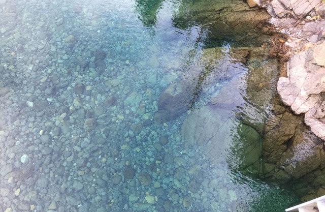 Private Off Grid cabin on North Fork of Smith River - WiFi - Pet Friendly