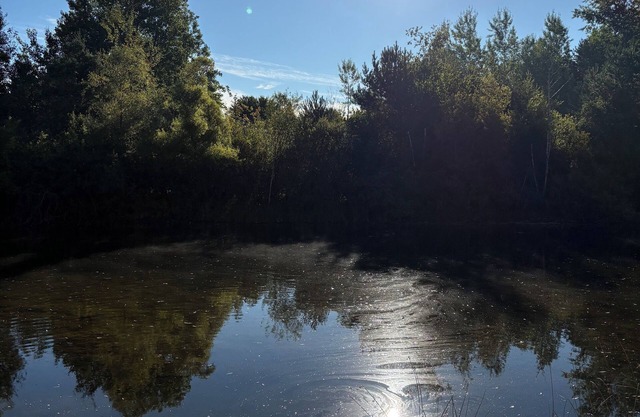 Private pond where memories are made!