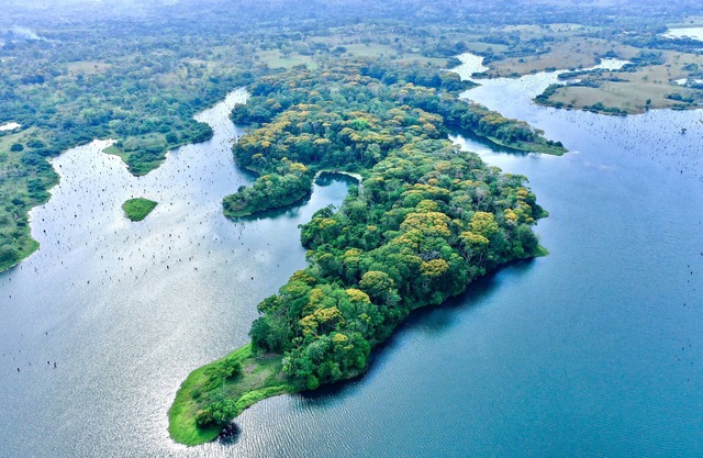 Private Tropical Paradise on Lake Gatun. Panama Canal