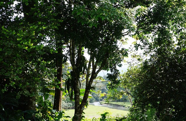 Private Villa near La Fortuna Airport