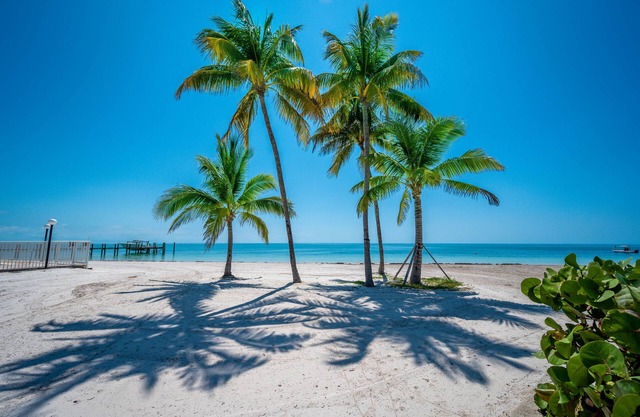 PS Sandy Beach, Pool View, dock, WiFi, Tennis, Jacuzzi, arrive any day, tropical