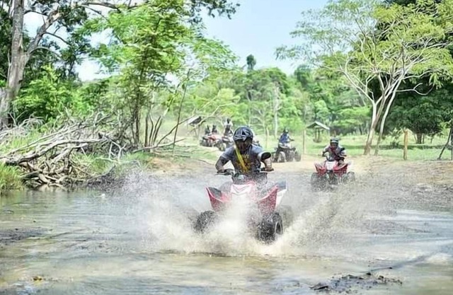 Pura Vida Rental