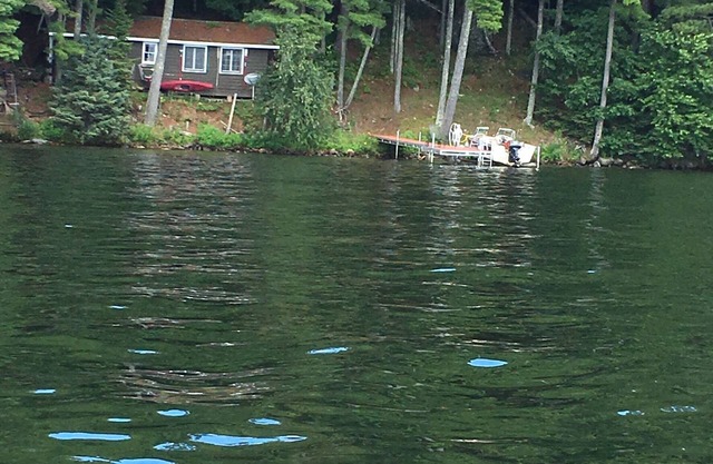 Quaint cozy lakeside cottage with eagle’s view of North Twin