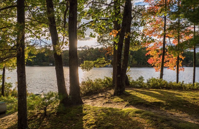 Quiet and Peaceful 3 Bedroom Family Cottage on Lake George, 12 Miles to TC