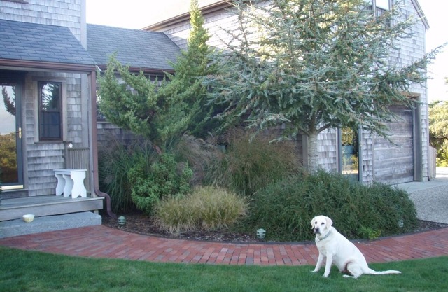 Quiet, comfortable Nantucket beach house - Maddequecham Beach