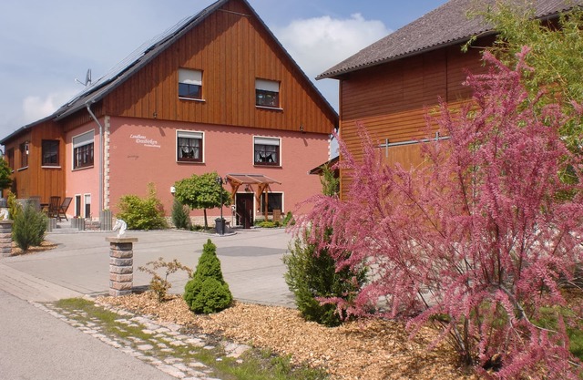 Quiet, idyllic and cozy country house in the middle of nature