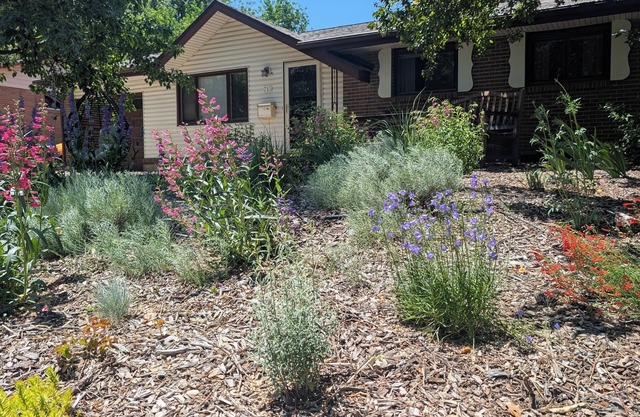 Quiet neighborhood. Easy walk to restaurants, shops, parks, trails, buses, etc.