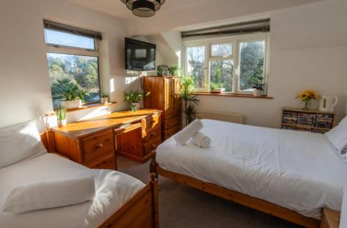 Quiet New Forest attic room den