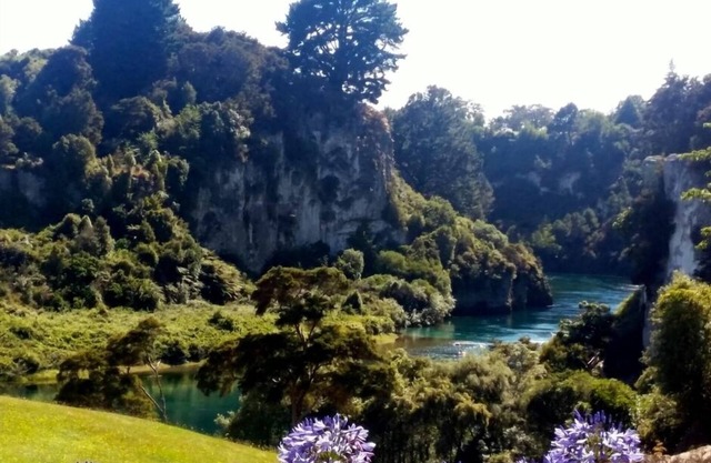 Quiet, peaceful hideaway by the Waikato river.
