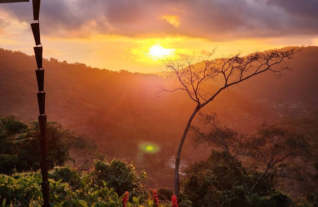 Quiet Serenity overlooking the Jungle and Sea