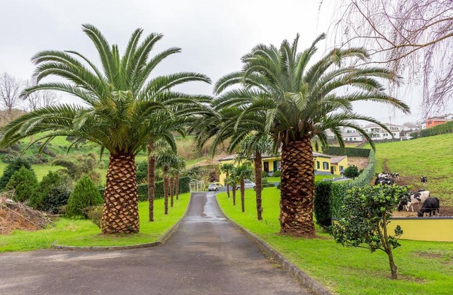 Quinta das Palmeiras