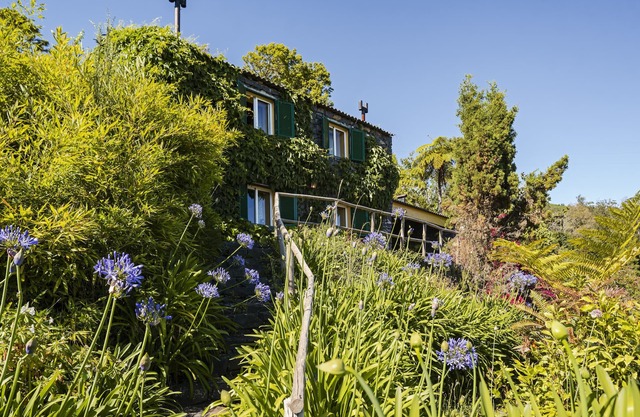 Quinta Devónia - Nogueira, country house with sea view