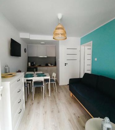 Róża Wiatrów Leśny Klif