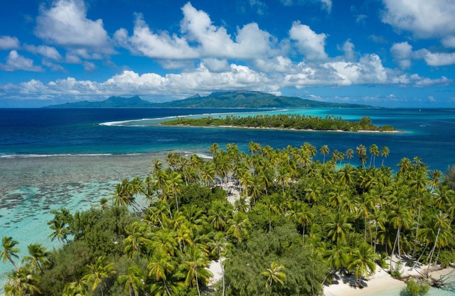 RAIATEA - Fare Apetahi