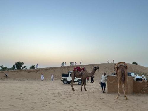 raju shing desert safari