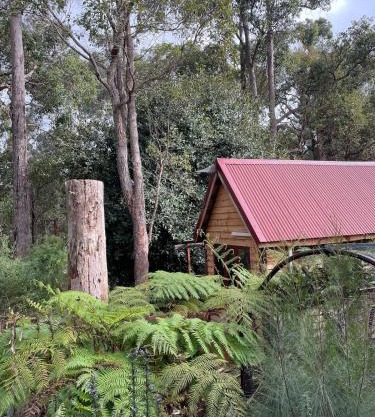 Rancho Relaxo Tiny House - in town sanctuary