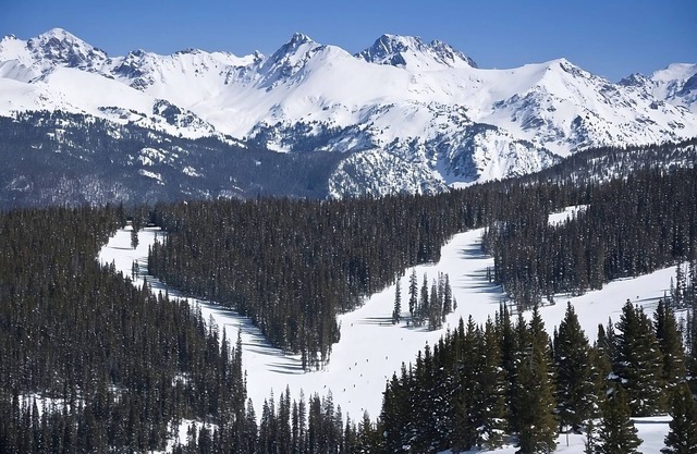 Rare Find! Gorgeous Mountain View, Near Gondola One with Hot Tub and Parking!