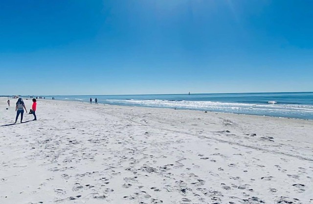 Redington Directly on the Beach Sea Rocket WiFi Parking 30