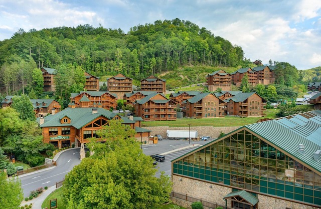Reduced-Enjoy Christmas in 2 BR lux resort, indoor waterpark & Smoky Mtn views