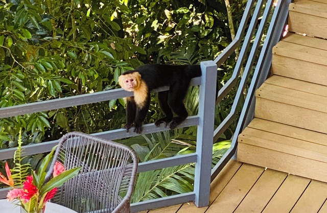 Relaxed, unplugged, Costa Rican-style comfort with a beach access n