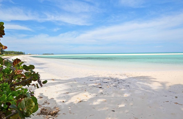 Renovated 3 bedrooms/2 bath. 2-minute walk to the beach!