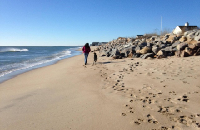 Resort-Like Stay Minutes from the Beach in a quiet 1.2 acre private space