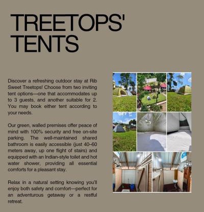 Rib Sweet Treetops Bed and Breakfast Tents 2 pax