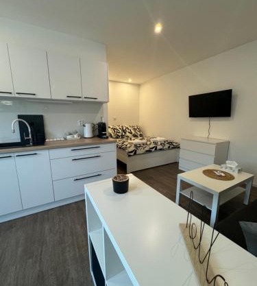 RK Apartment Brno