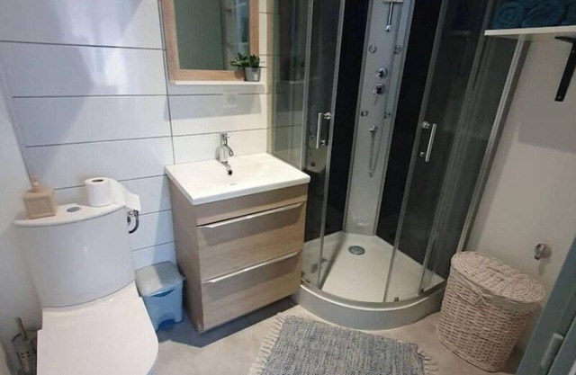 Roanne center, renovated apartment.