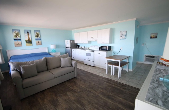 Room #203 Efficiency King w/Kitchen Dog Y