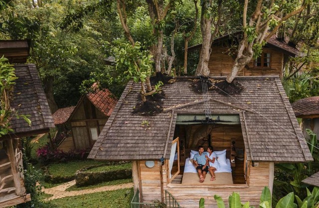 Roots Tree House