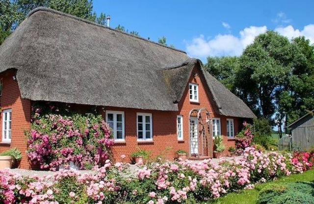 Rosenkate, Germany