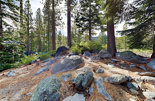 Rubicon Bay stunner with lake views, hot tub, private beach, & balcony - dogs OK