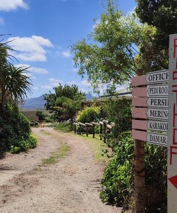Rusthof Accommodation