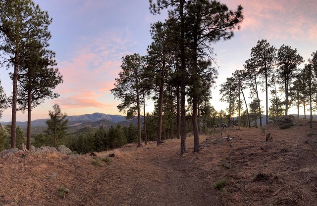 Rustic Family Mountain Top Cabin! 360 degree “million dollar” Black Hills views!