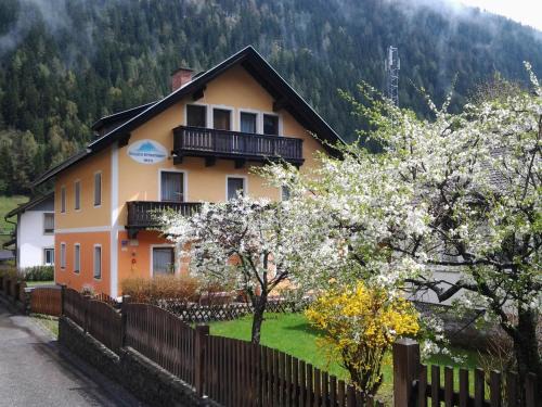 Säuleck Appartement mit Kärntencard
