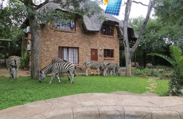 Safari in the garden, your private viewing decks. Enjoy the bush and relax!