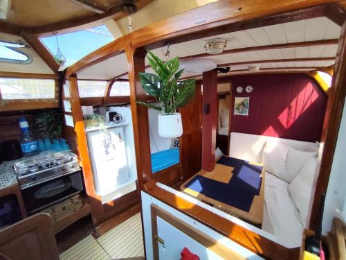 Saga, Voilier confortable en bois
