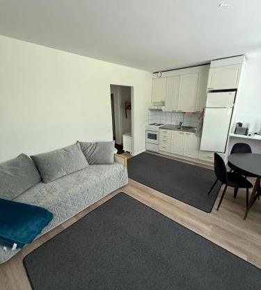 Saimaa Glow Apartment 2