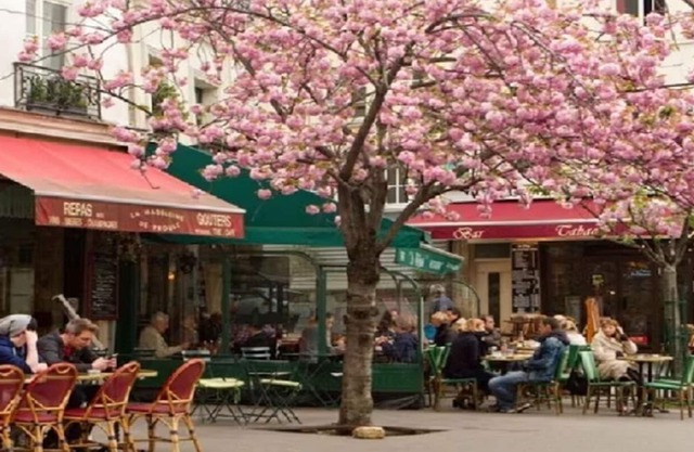 SAINT MANDE-A BEAUTIFUL PARISIAN RETREAT