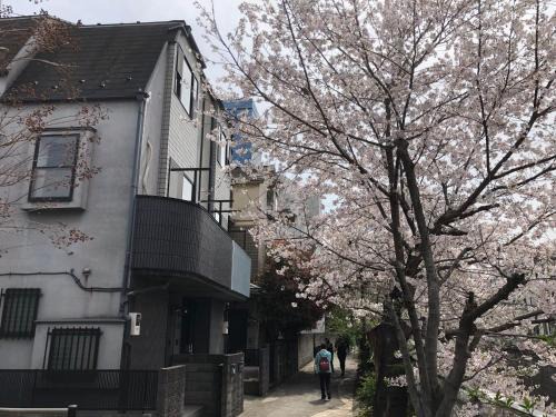 sakurakan