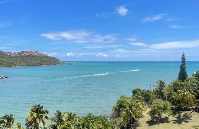 Salt Life Escape! 🌊 Amazing Ocean View Relaxing Hammock 24hrs Security