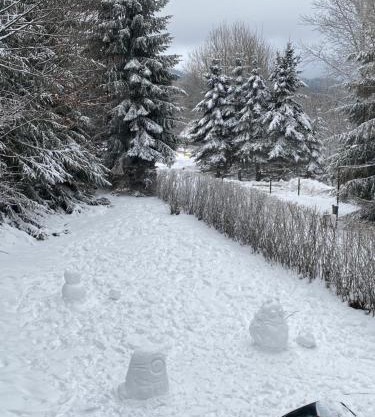 Samostatný apartmán se zahradou