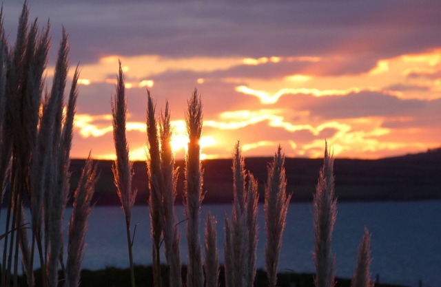 Sanctuary Studio accommodation; quiet, rural, seaside, 3 miles west of Dingle