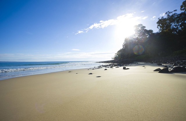 Sandcastles Noosa