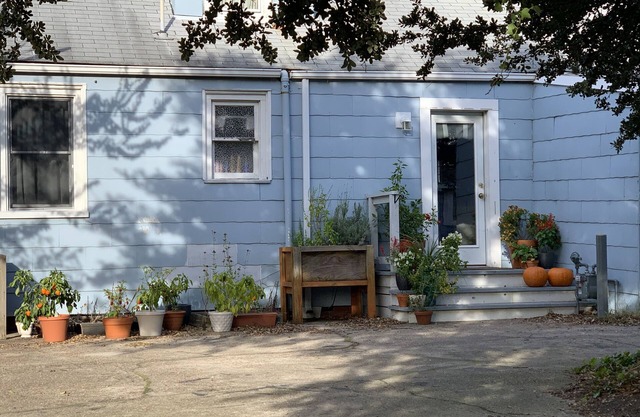 Sandy Dunes At The Beach - Beachfront, Wi-fi, Pets 3 Bedroom Home by RedAwning