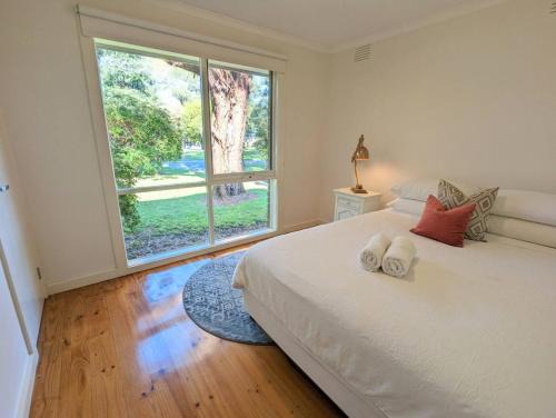 Sandys Retreat, wineries, sanctuary, pets, main st