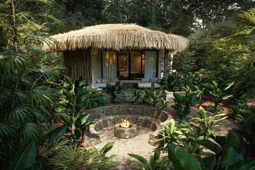 Santa Lucia Jungle Hacienda, Autograph Collection