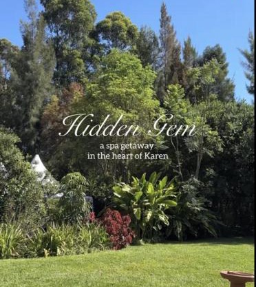 Sarayu Wellness Institute